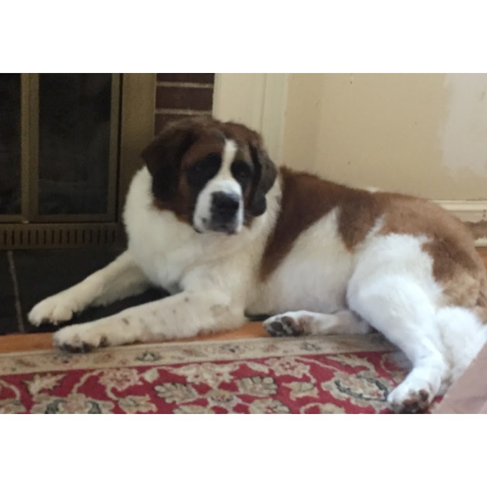 Meet your Posher, Mona